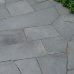 DSC09246