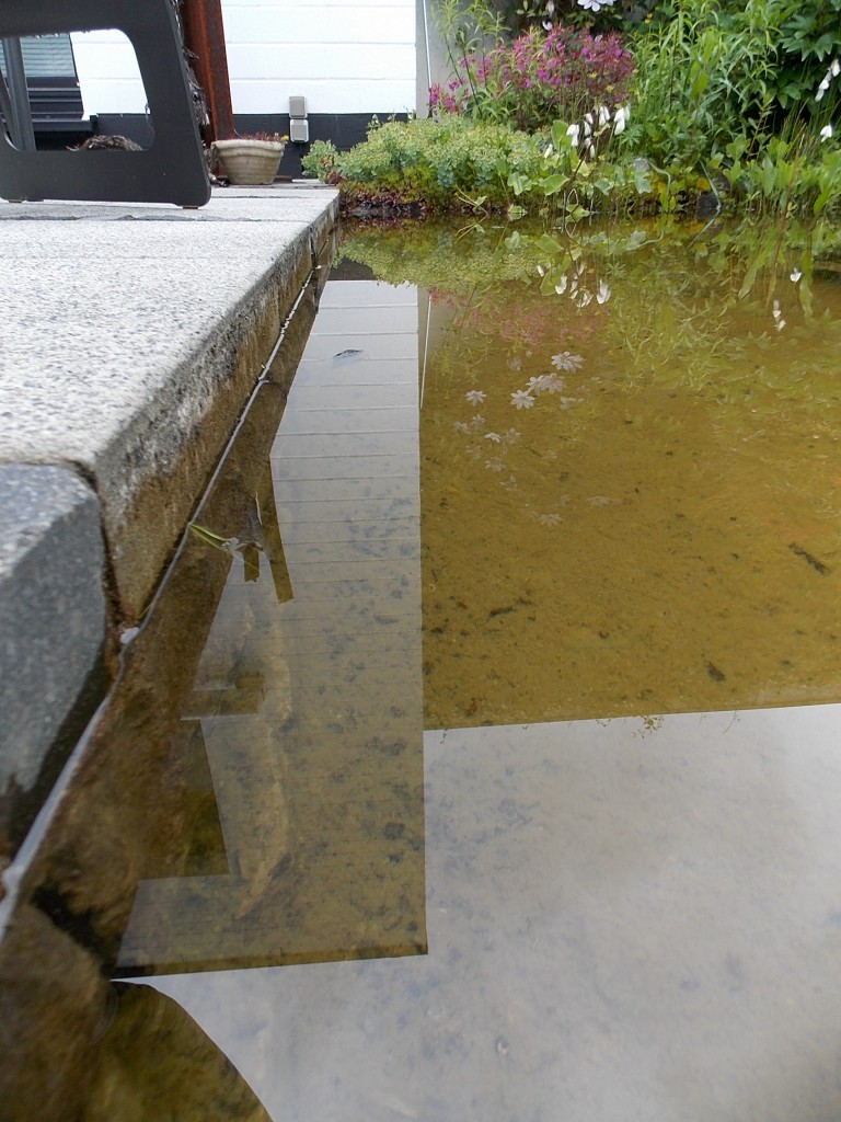 Terrassenanschluss mit maximalem Wasserstand.