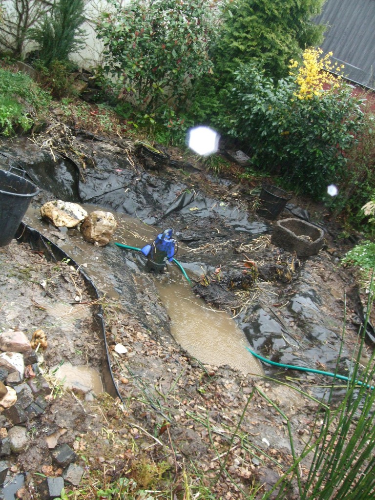 Freigelegte Folie , hier war das Verhältnis von 1m² Wasserfläche zu 0,5m³ Wasservolumen nicht eingehalten.