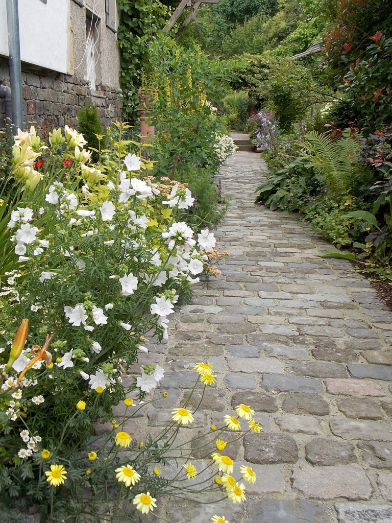 Die Sommerblüte ist hauptsächlich in gelb , orange und weiss gehalten.